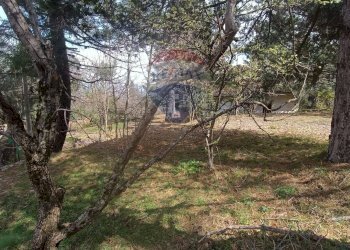 Giardino - Casa indipendente Contrada Petto Petraro
 
SNC, Linguaglossa - foto 60