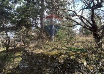 Giardino - Casa indipendente Contrada Petto Petraro
 
SNC, Linguaglossa - foto 61