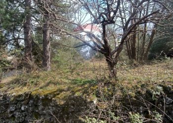 Giardino - Casa indipendente Contrada Petto Petraro
 
SNC, Linguaglossa - foto 62