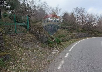 Giardino - Casa indipendente Contrada Petto Petraro
 
SNC, Linguaglossa - foto 63