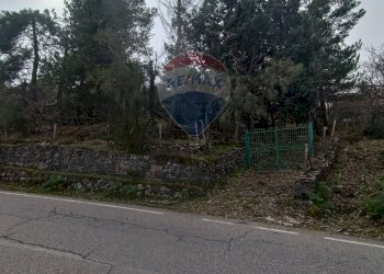 Giardino - Casa indipendente Contrada Petto Petraro
 
SNC, Linguaglossa - foto 65