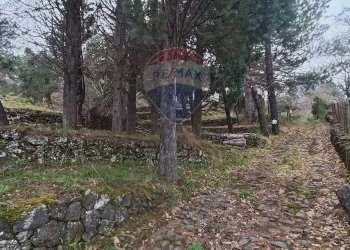 Giardino - Casa indipendente Contrada Petto Petraro
 
SNC, Linguaglossa - foto 66