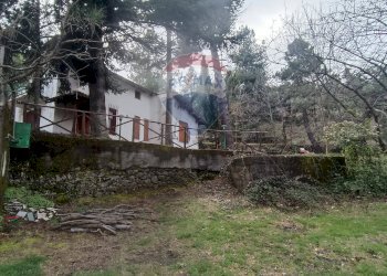 Giardino - Casa indipendente Contrada Petto Petraro
 
SNC, Linguaglossa - foto 67