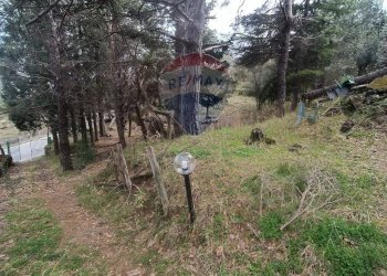 Giardino - Casa indipendente Contrada Petto Petraro
 
SNC, Linguaglossa - foto 68