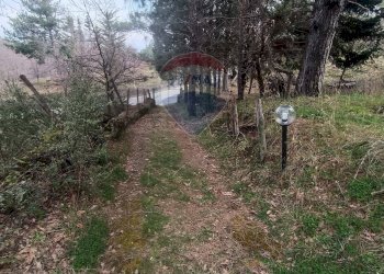 Giardino - Casa indipendente Contrada Petto Petraro
 
SNC, Linguaglossa - foto 69