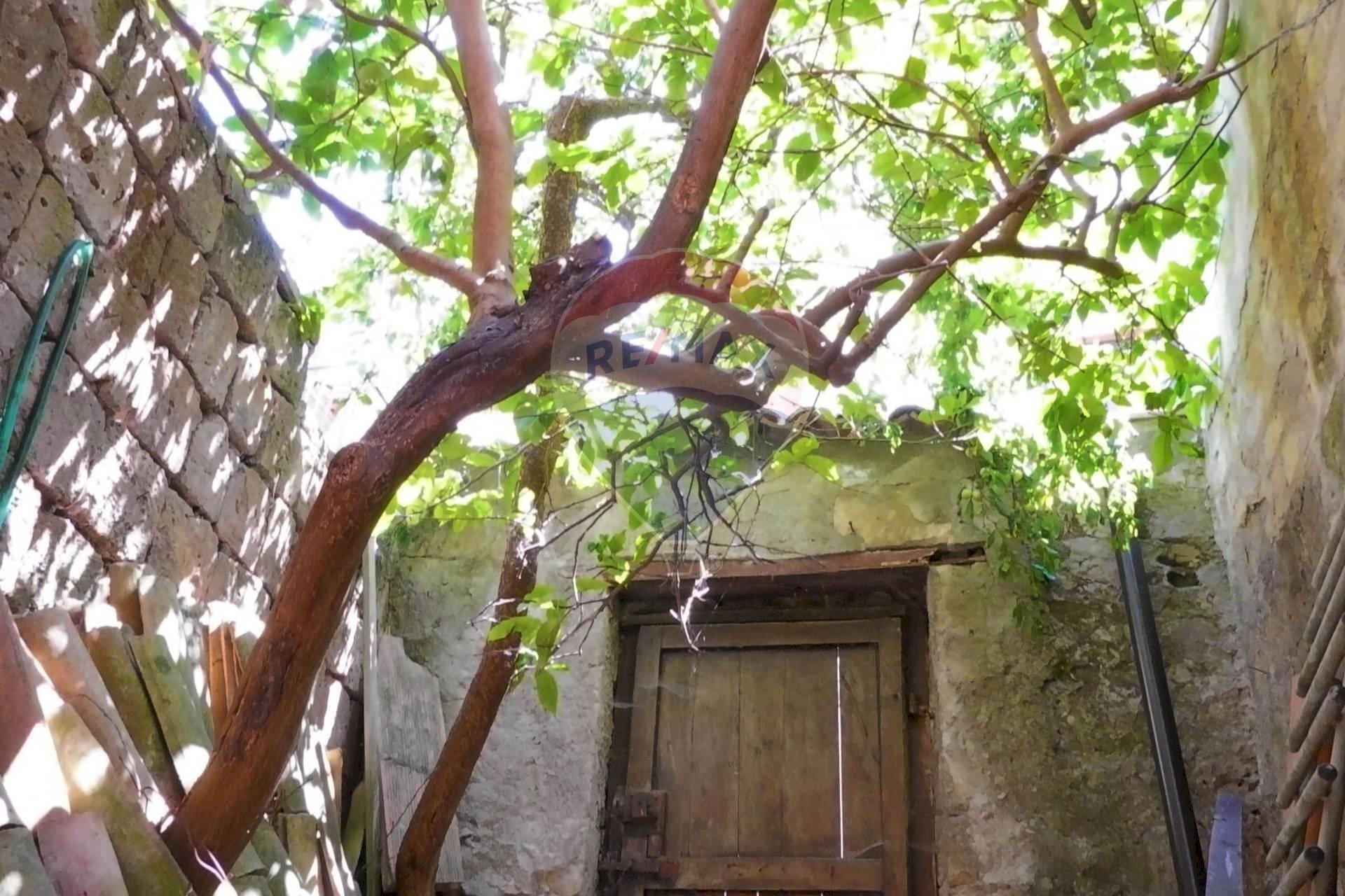 Giardino - Casa semi indipendente via Roma
 
101, Solopaca - foto 1