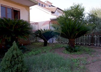 Giardino - Casa indipendente Via Armando Diaz
 
27, Bellona - foto 6