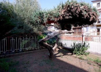 Giardino - Casa indipendente Via Armando Diaz
 
27, Bellona - foto 50