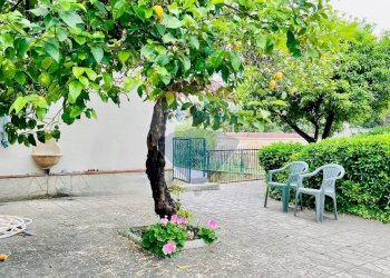 Giardino - Villa Via Tufo
 
6, Vitulazio - foto 110