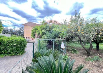 Giardino - Villa Via Tufo
 
6, Vitulazio - foto 111