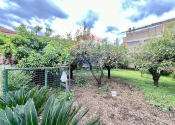 Giardino - Villa Via Tufo
 
6, Vitulazio - foto 114