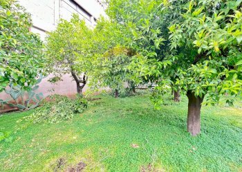 Giardino - Villa Via Tufo
 
6, Vitulazio - foto 115