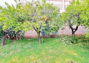 Giardino - Villa Via Tufo
 
6, Vitulazio - foto 117