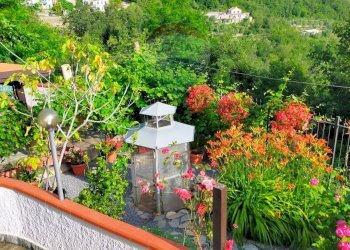 Vista delle montagne - Casa indipendente Frazione Dani, Testico - foto 4