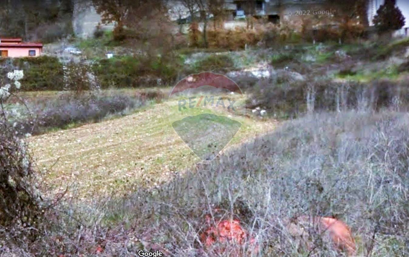 Giardino - Terreno edificabile Via Piè dei Colli
snc, San Pio delle Camere - foto 3