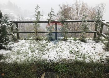 Giardino - One-room apartment VIA GROMELLO
 
10, Sant'Omobono Terme - photo 11