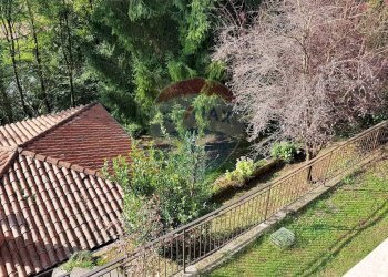 Giardino - Casa semi indipendente Endine Gaiano - foto 9