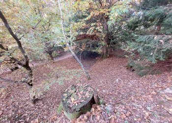 Giardino - Rustico Endine Gaiano - foto 35