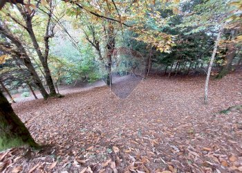 Giardino - Rustico Endine Gaiano - foto 36