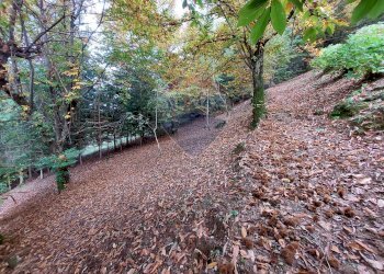 Giardino - Rustico Endine Gaiano - foto 38