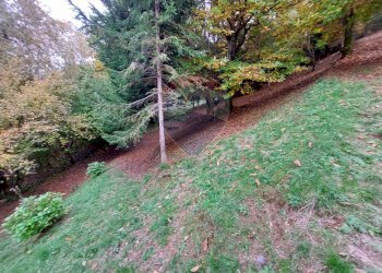 Giardino - Rustico Endine Gaiano - foto 41