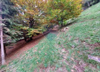 Giardino - Rustico Endine Gaiano - foto 42