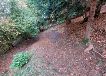 Giardino - Rustico Endine Gaiano - foto 43