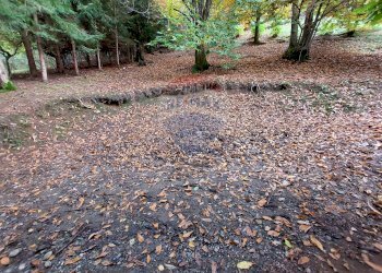 Giardino - Rustico Endine Gaiano - foto 44