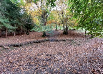 Giardino - Rustico Endine Gaiano - foto 45