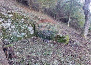 Giardino - Baita Monasterolo del Castello - foto 15