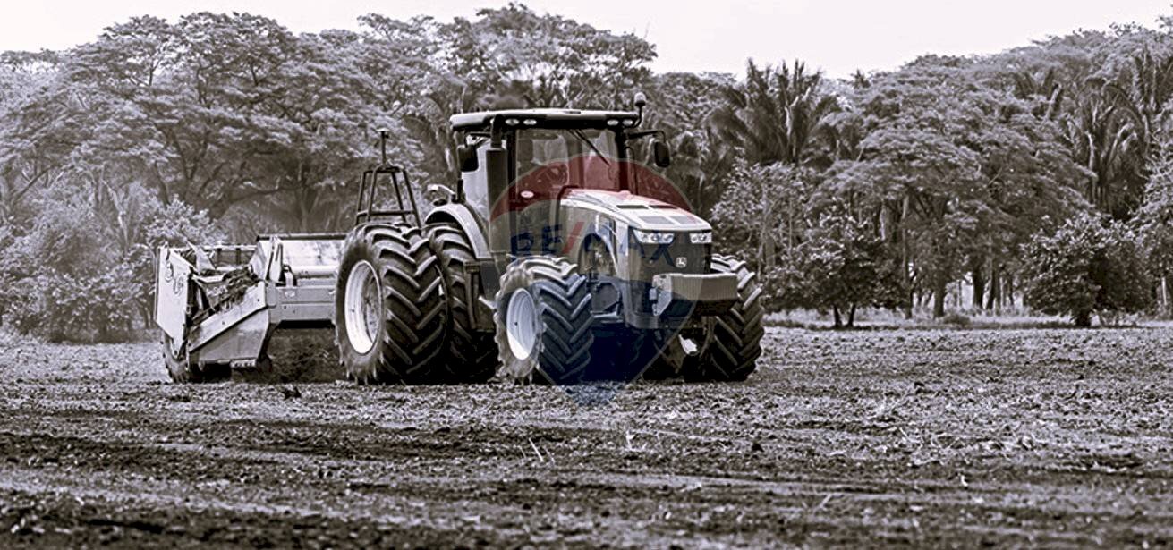 Casa all\'aperto - Terreno agricolo Lurano - foto 1