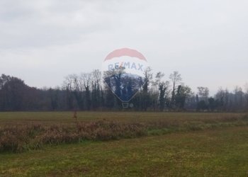 Giardino - Terreno agricolo Lurano - foto 5