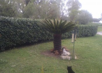 Foto 9 - Villa Via Macchia Grande, Latina - foto 9