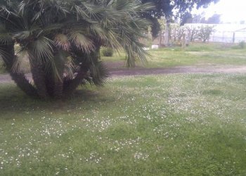 Foto 10 - Villa Via Macchia Grande, Latina - foto 10