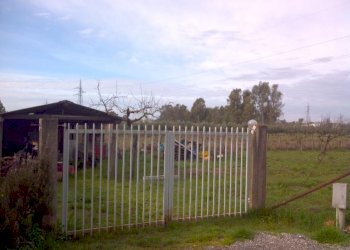 Foto 2 - Terreno agricolo Latina - foto 2