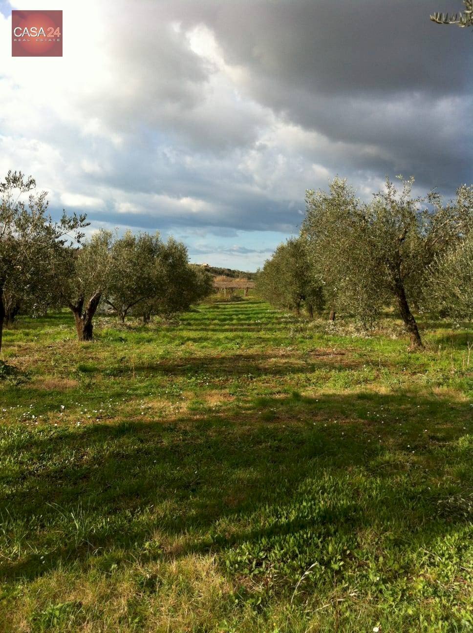 Foto 3 - Terreno agricolo Via dei Campanili, Cori - foto 3