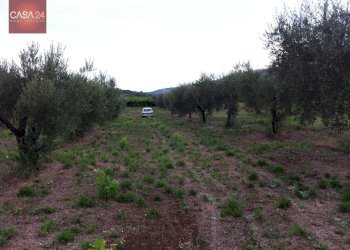 Foto 2 - Terreno agricolo Via dei Campanili, Cori - foto 2