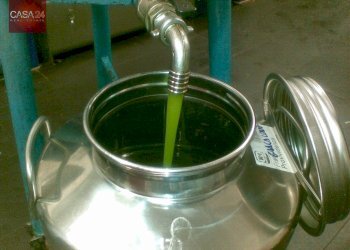 Foto 5 - Terreno agricolo Via dei Campanili, Cori - foto 5