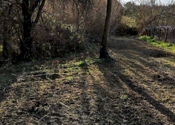 Foto 10 - Terreno agricolo Via dei Campanili, Cori - foto 10