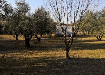 Foto 11 - Terreno agricolo Via dei Campanili, Cori - foto 11