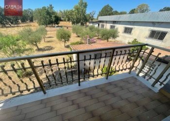 Foto 21 - Villa strada portosello, Sabaudia - foto 21