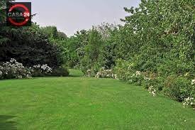 Foto 1 - Terreno agricolo via del bosco, Latina - foto 1