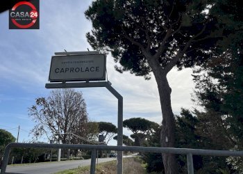 Foto 47 - Villa via del pescheto, Sabaudia - foto 47