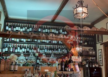 Foto 5 - Attività Commerciale Latina - foto 5