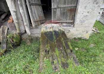 Giardino - Rustic Via Valtibolla
 
Snc, Limana - photo 24