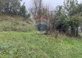 Giardino - Rustic Via Valtibolla
 
Snc, Limana - photo 31