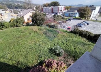 Giardino - Casa indipendente Via Dante
 
8, Pedavena - foto 16