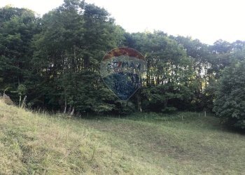 Giardino - Rustic Loc. Sommacosta
 
Snc, Alpago - photo 12