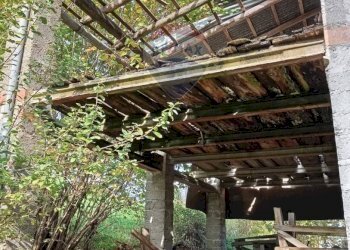 Giardino - Casa semi indipendente Via Col Maor
 
12, Cesiomaggiore - foto 8