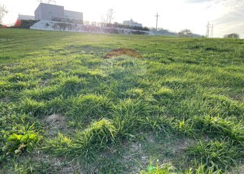 Giardino - Terreno edificabile Via Giuseppe Di Vittorio
 
SNC, Ancona - foto 9